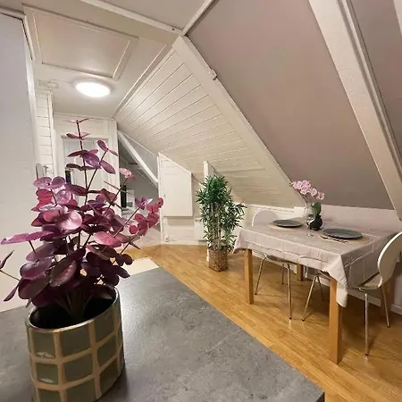 Sentrumsnaer Hybelleilighet Med Eget Kjokken Apartment *