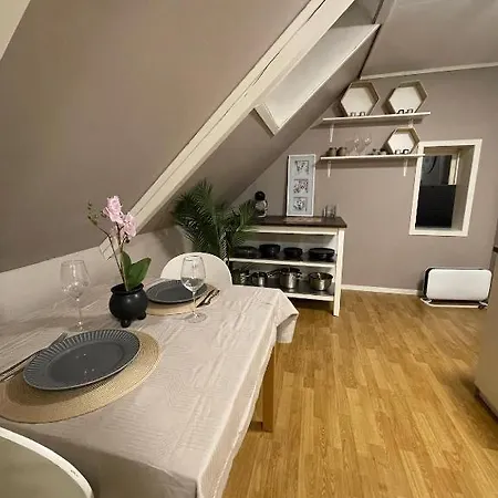 Apartment Sentrumsnaer Hybelleilighet Med Eget Kjokken *