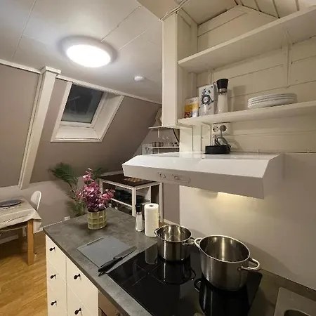 Apartment Sentrumsnaer Hybelleilighet Med Eget Kjokken